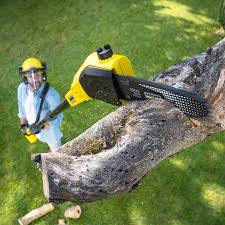 Lyons, GA Tree Care Company