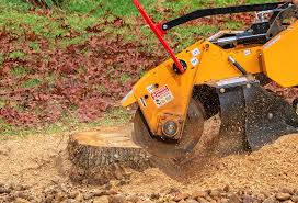 Pest Control for Lawns in Lyons, GA