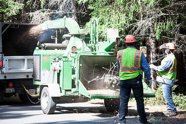 Best Aeration Services  in Lyons, GA